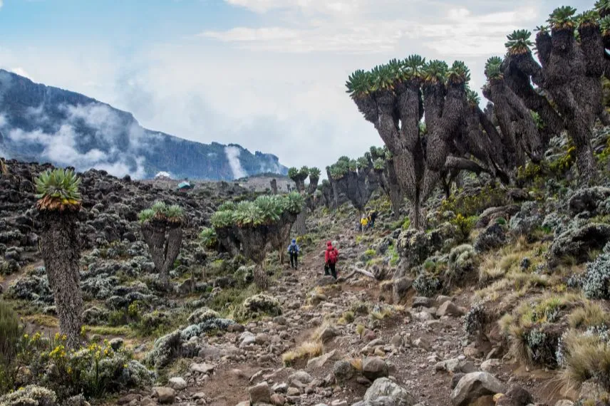 Climb Kilimanjaro Cost