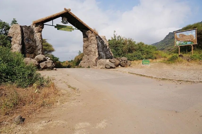 Day Trip Safari In Arusha