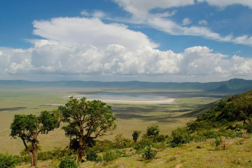 Ngorongoro Highlands