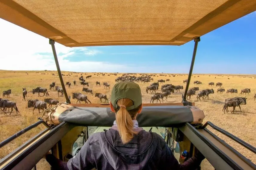 Serengeti Migration Safari