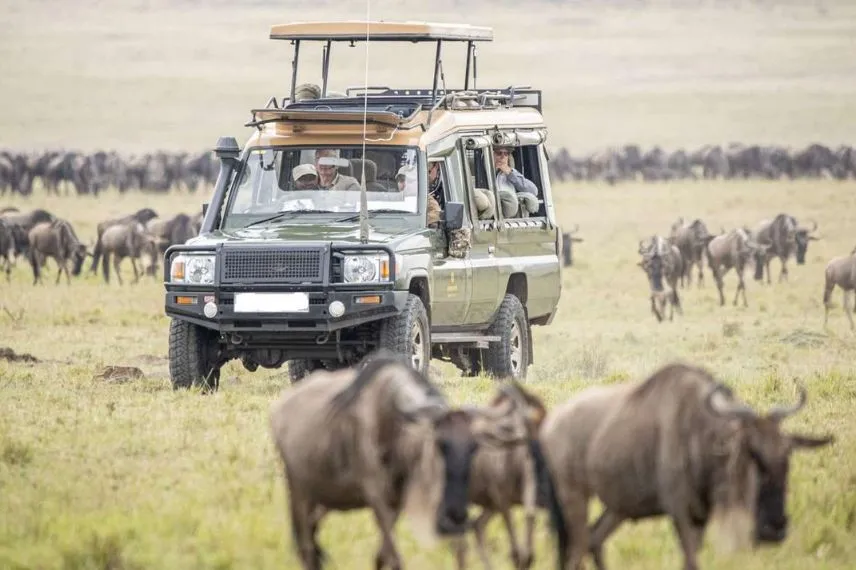 Serengeti Migration Safari in Tanzania