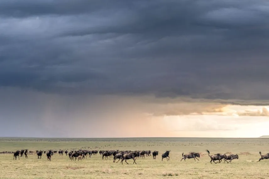 Serengeti Weather