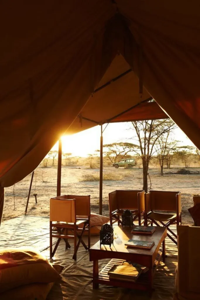 Tanzania Budget Safari