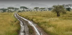 Tanzania Rainy Season Travel
