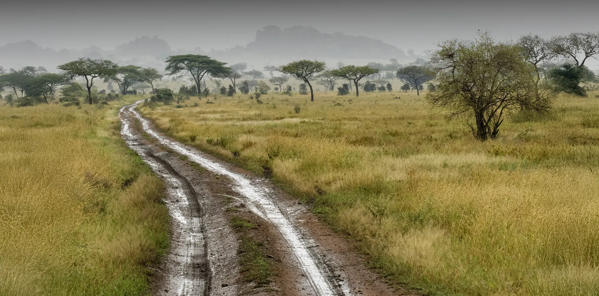 Tanzania Rainy Season Travel