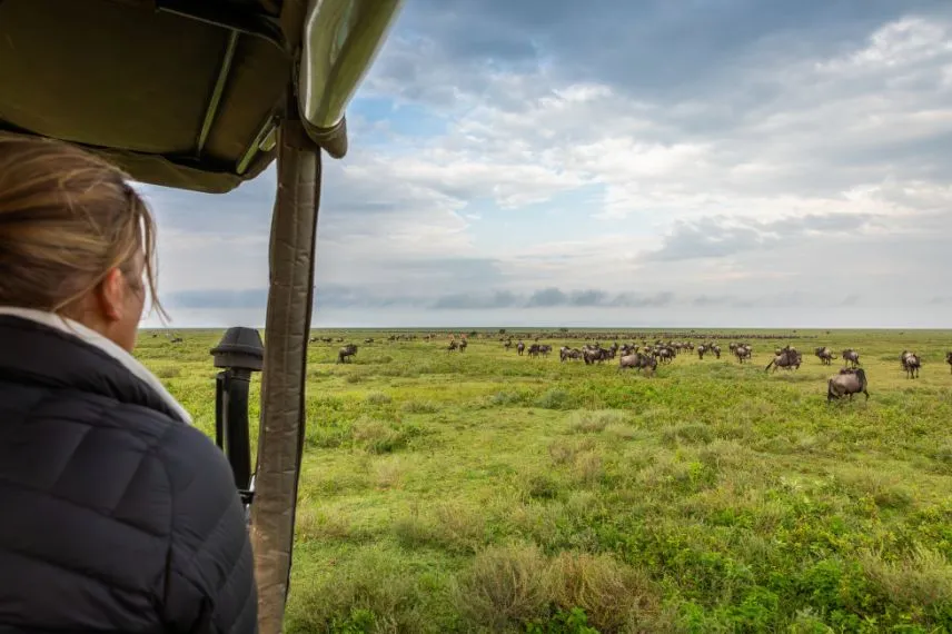Tanzania Safari