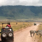 Tanzania Safari Cost in 2026 - How to Plan a Trip for Every Budget