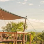 How Eco-Lodges and Luxury Experiences Are Redefining Tanzania Safari Costs Today?