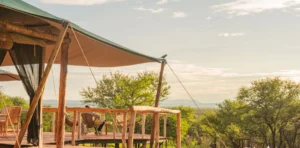 Tanzania Safari Costs
