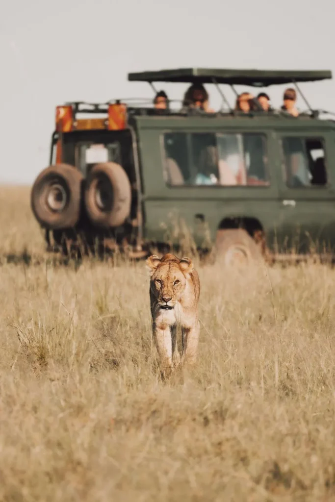 Tanzania Safari Costs