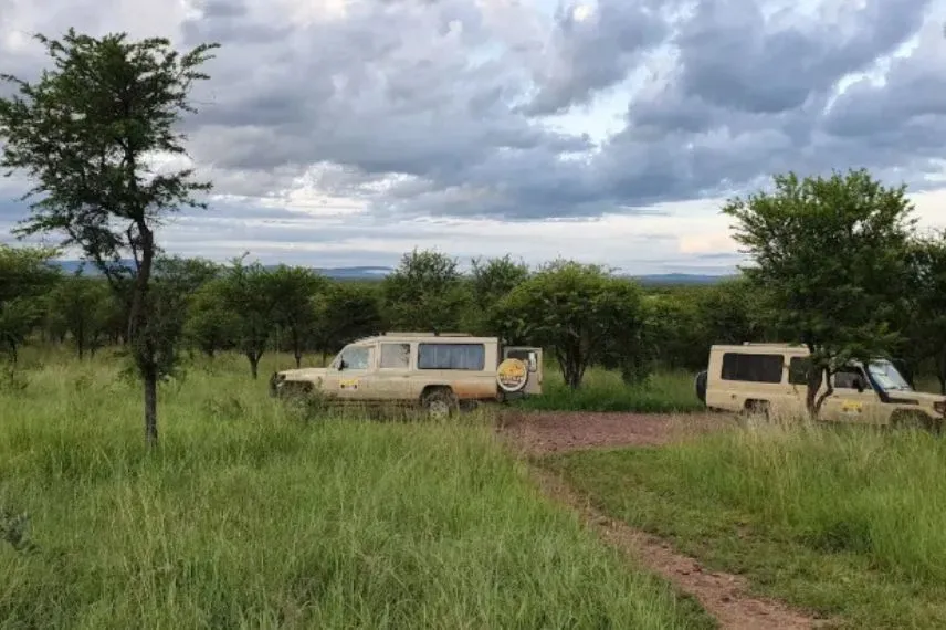Tanzania Safari Tour