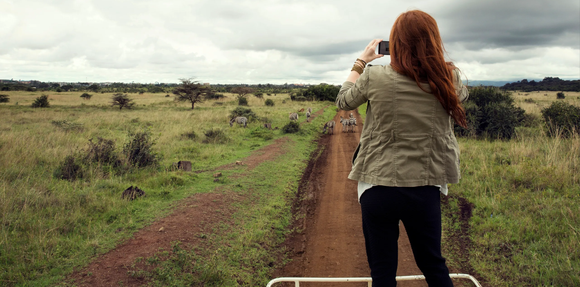 Tanzania Safari