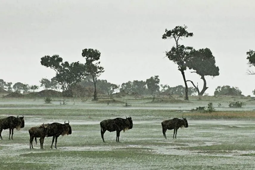 Tanzania rainy season