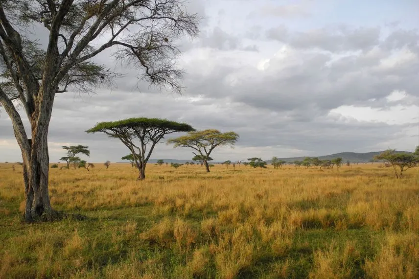 Weather in Tanzania