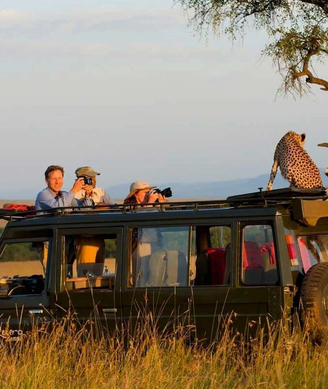 Game Drive