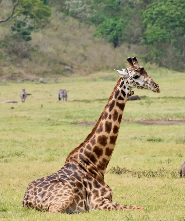 arusha-national-park-3