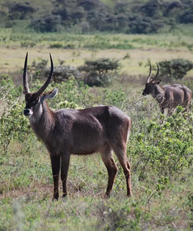arusha-national-park-5