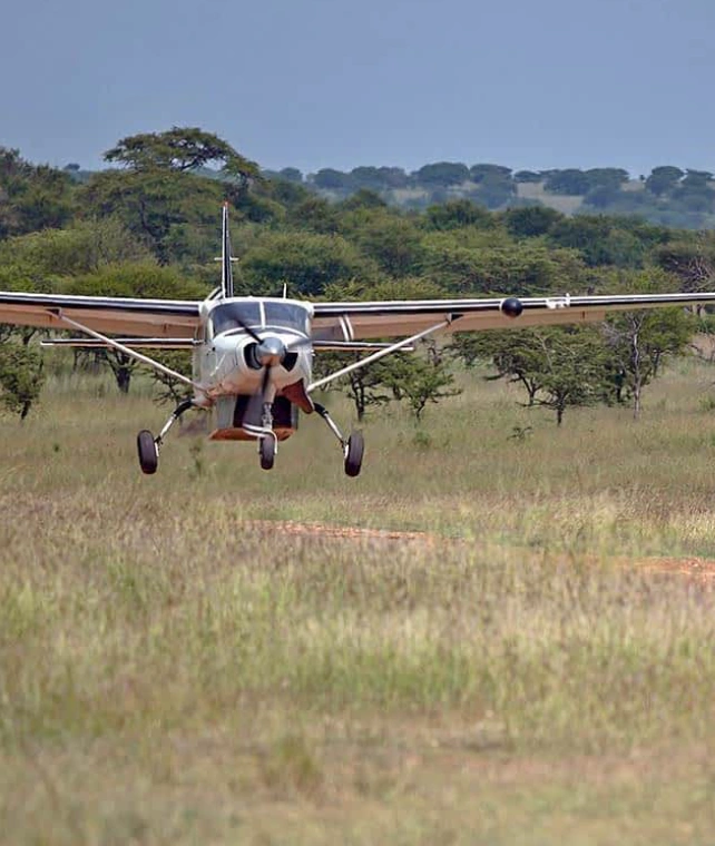 Fly In  Safari