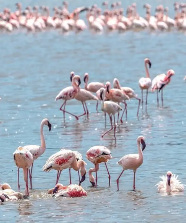 lake-manyara-national-park-3