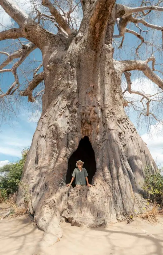 tarangire-national-park-experience