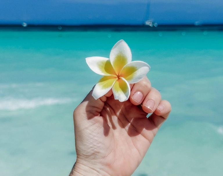 Zanzibar Beach
