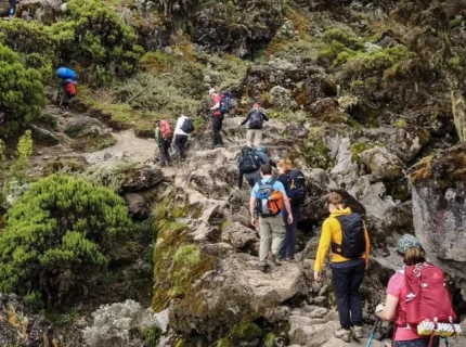 7-day-mount-kilimanjaro-trek-via-the-machame-route3 (1)
